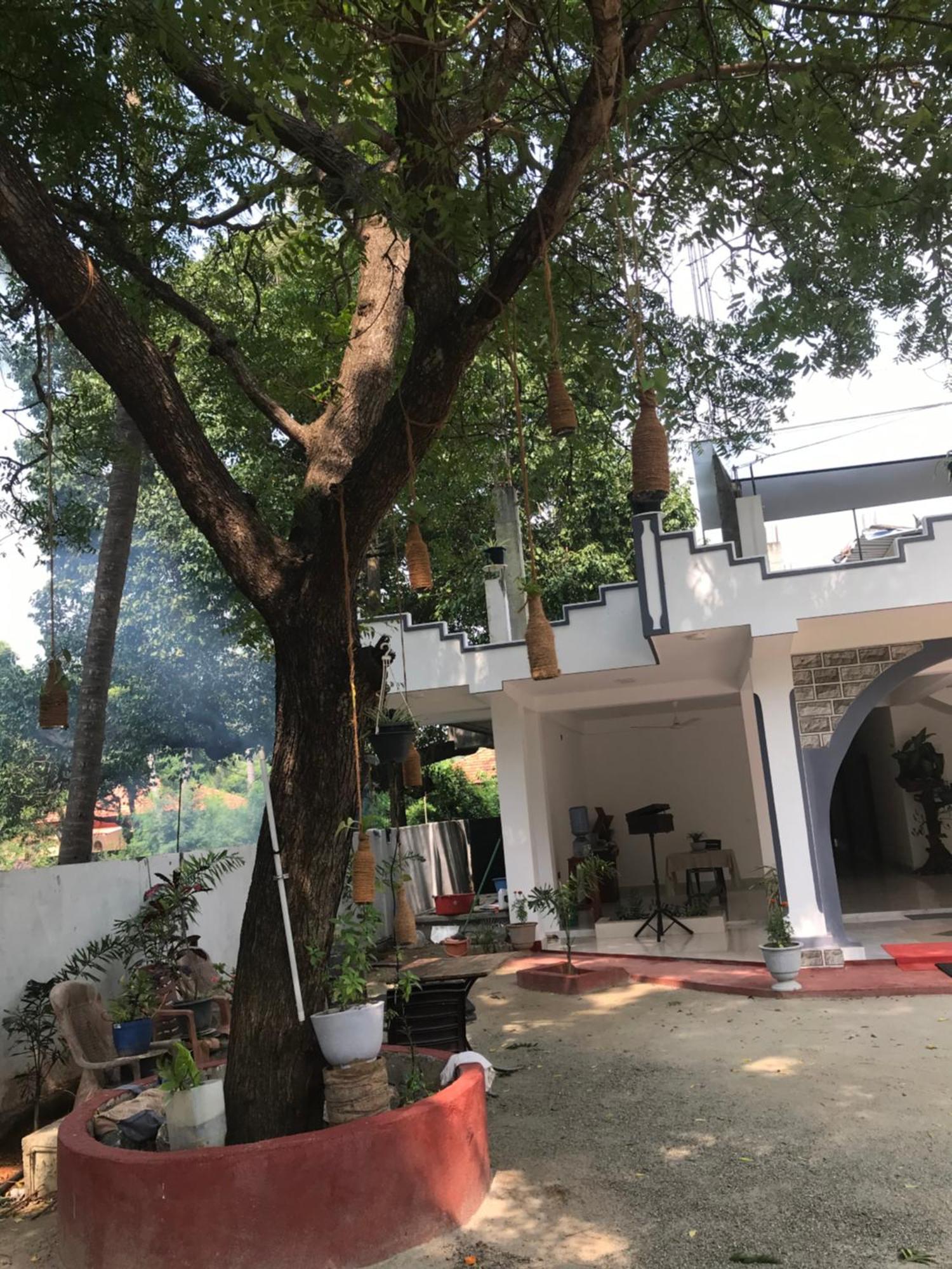 Green Star Villa جافنا المظهر الخارجي الصورة